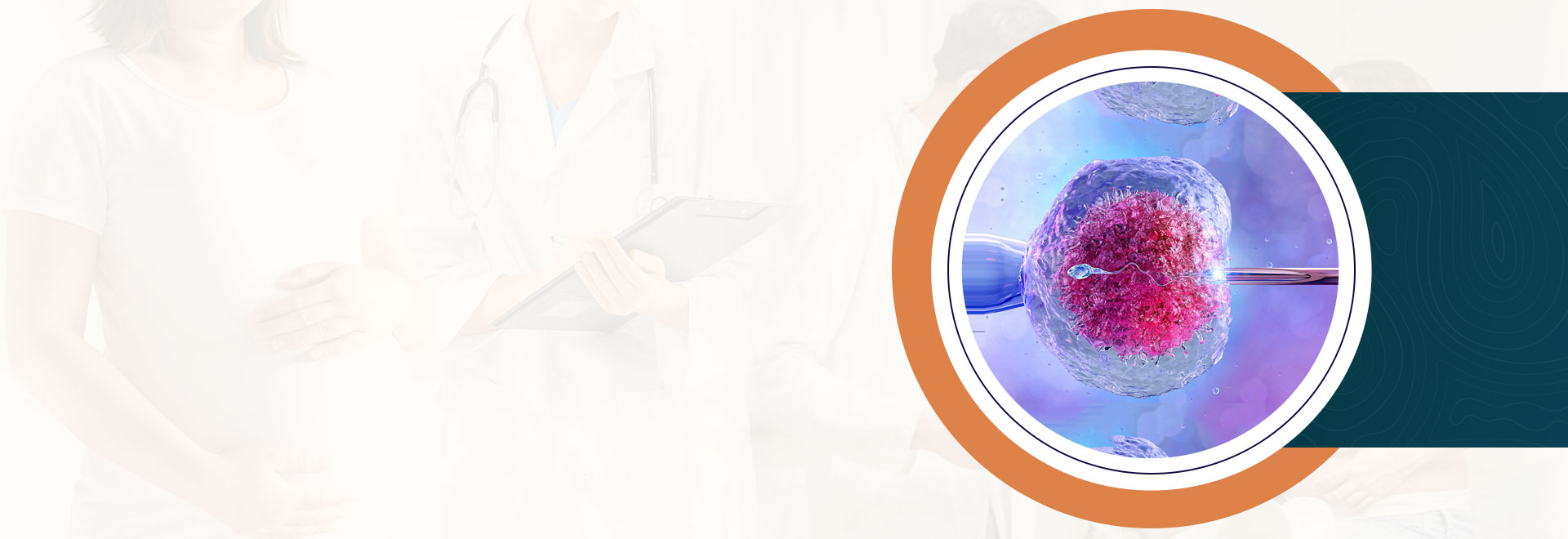 IVF Banner